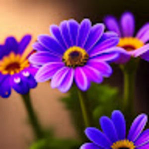 Meet your Posher, Moon